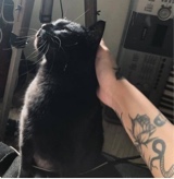 Guest_grimnnoir