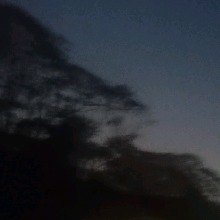 Guest_Prrt4