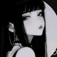 Guest_Prrt4