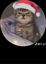 Guest_Omar784682