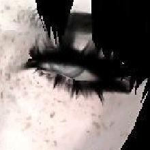 Guest_Erika402228