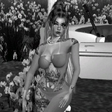 Guest_Niki176637