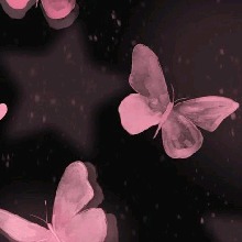 Guest_LEXI953562