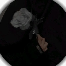 Guest_Qiluvvv