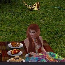 Guest_Shalom879174