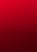 Guest_miyaa864671