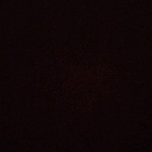 Guest_AriannaConforme