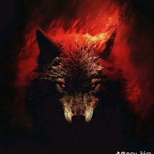 avpic