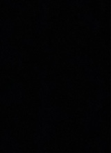 Guest_amira466976
