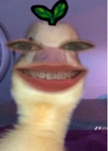 Guest_cakeee3
