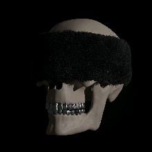 Guest_BlckDXX