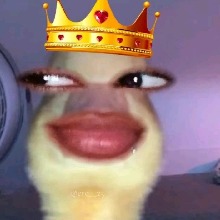 Guest_Vihsouza