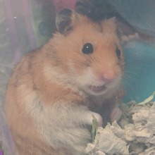 Guest_1boogermuncher