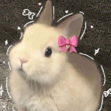 Guest_Drizinha3