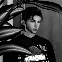 Guest_Adil20