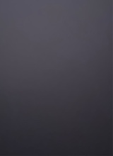 Guest_daniel890042