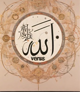 vnsnv