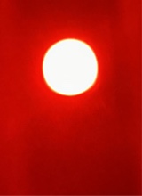immagine avatar