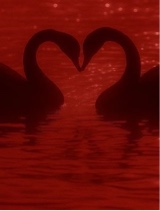 Guest_RoseHills