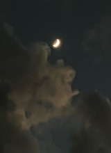 Guest_Luna934314