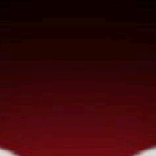 Guest_JESY545102