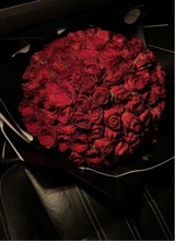 Guest_Deisi314472