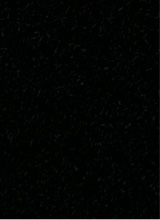 Guest_Myaa131530