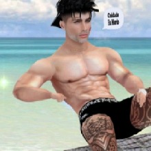 Guest_Lucas653771