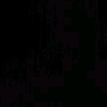 Guest_Penelophy1