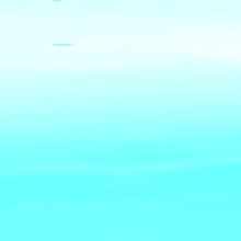 Guest_Vanesa708568