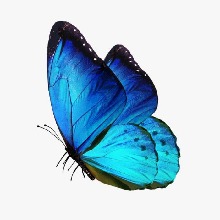 Guest_LadyBlue5