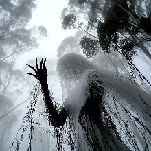 Guest_Antisocial13