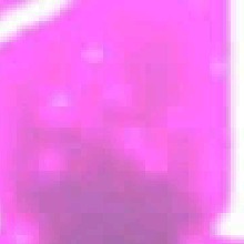 Guest_Isabella286910