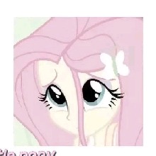 Guest_Camila655318