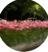 Guest_reema162725