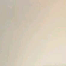 Guest_vih333289