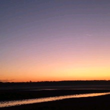 Guest_Luna102261