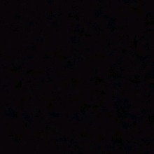 Guest_Racfl