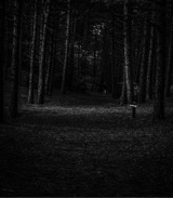 Guest_ghost797601