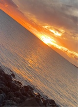 Guest_hollz7