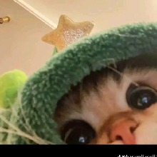 Guest_MarySB