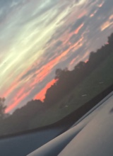 Guest_Lexi617692