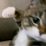 Guest_mia120635