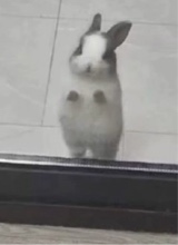 Guest_dwvilsdvcate