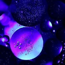 Guest_Ellie794485