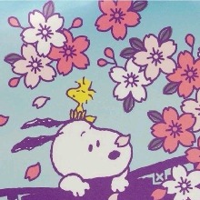 Guest_Amariah46