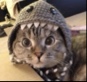 Guest_sarahf5
