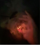Guest_H03sluvme