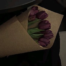 Guest_JohnCortana