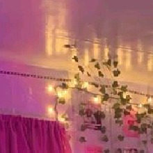 Guest_Jocelynruiz
